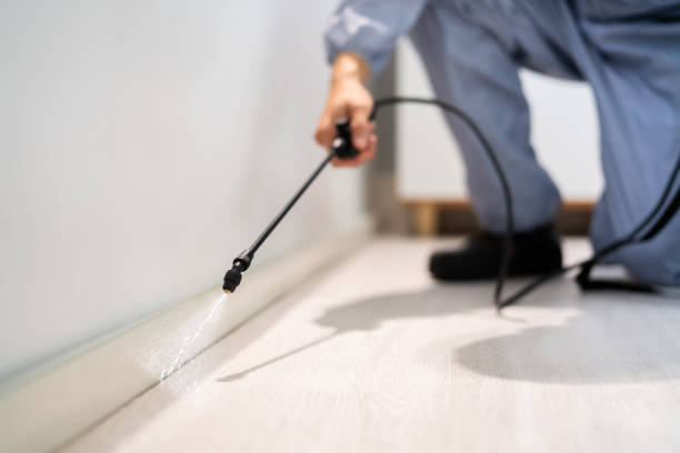 Licensed Cockroach Control service in Highland, MD - Nex Pest Control