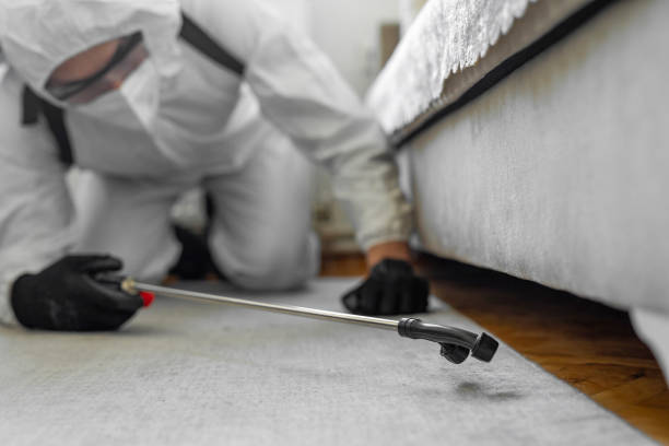 Professional Cockroach Control technician working in Highland, MD