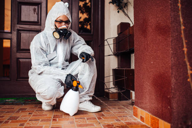 Reliable Cockroach Control contractor in Highland, MD by Nex Pest Control